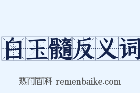 白玉髓反义词是什么意思的图片